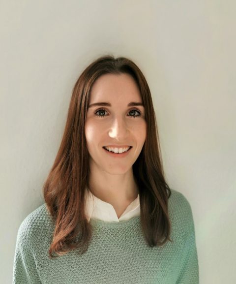 Pilot study in research example image